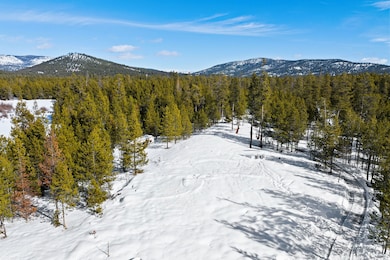 855 Badger Hollow Trail, Marion, MT 59925 - photo 3