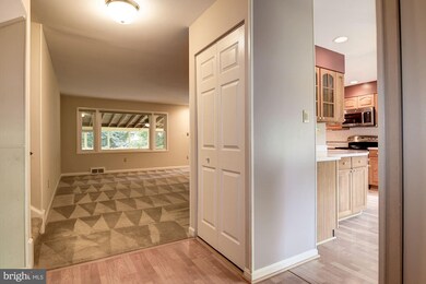 14313 Blackmon Dr, Rockville, MD 20853 - photo 5