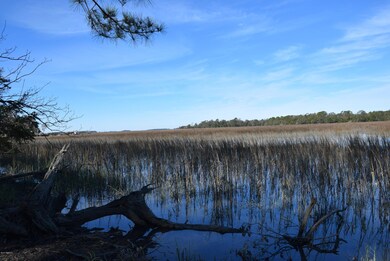 Cordgrass Loop 007