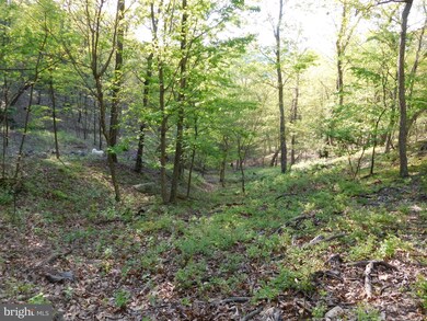 115 Trough View Rd, Moorefield, WV 26836 - photo 4