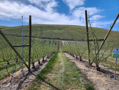 Orchard