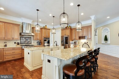 20620 Stone Fox Ct, Leesburg, VA 20175 - photo 2