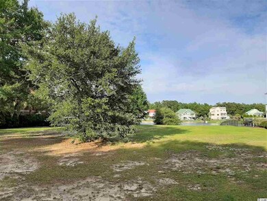 174 Hawks Nest Cir unit Lot 19 Wachesaw Palm, Murrells Inlet, SC 29576 - photo 3