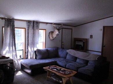 W7964 Somo Dam Dr, Tomahawk, WI 54487 - photo 5