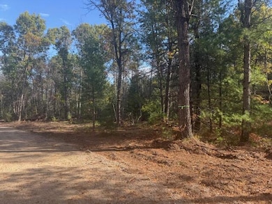 Parcel C 16th St, Baldwin, MI 49304 - photo 2