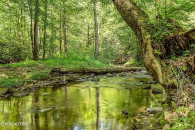 Land/Water Features
