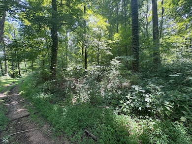 8270 W Chafin Chapel Rd, Ellettsville, IN 47429 - photo 5