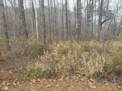 0 Rushing Water Trail unit 420381, Hayesville, NC 28904 - photo 4