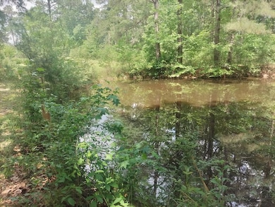 30 Sassy Ln, Laurel, MS 39443 - photo 6