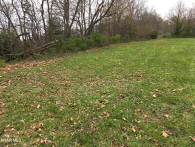 5010 Riverview Rd unit Lot 5, West Providence Township, PA 15537 - photo 4