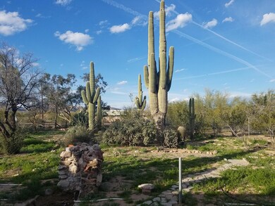 front yard 1