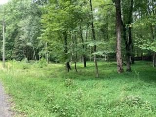 LT 3505R Castle Ct, Ellijay, GA 30540 - photo 3