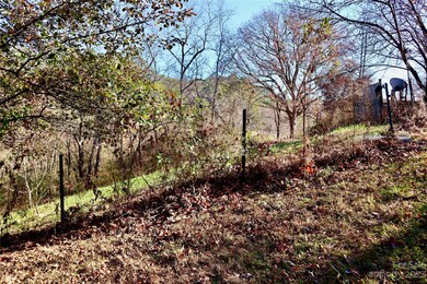 1011 Clark Branch Rd, Asheville, NC 28806 - photo 7