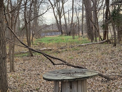 312 Bazille St, Center, NE 68724 - photo 5