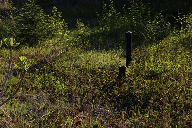 Danver Lot (11 of 23)