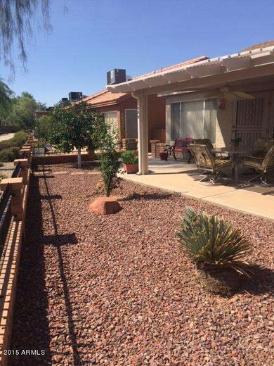 back yard 1