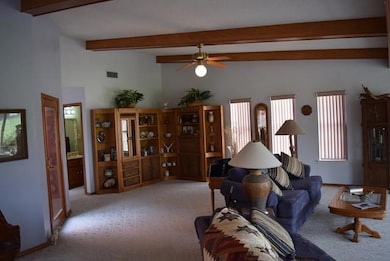 904 Palm Dr unit Lot  93, Alamo, TX 78516 - photo 3