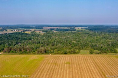 View from Blacks Comers, Dairy Farm to the east