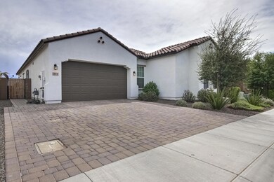 811 S Eucalyptus Pl-3