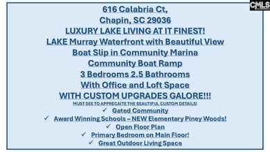 616 Calabria Ct, Chapin, SC 29036 - photo 3