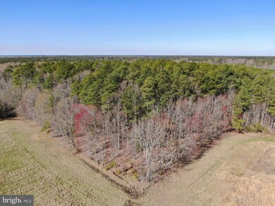 2051 Liners Rd, Church Creek, MD 21622 - photo 4