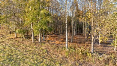 Lot 23 Bravo Way, Talking Rock, GA 30175 - photo 5