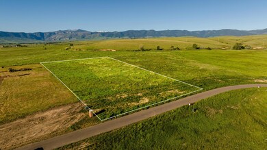 002_dji_20240606071045_0016_d2_532