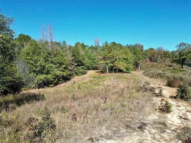 0 Highway 82 N, Eufaula, AL 36027 - photo 4