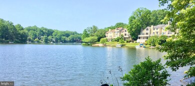 11013B Villaridge Ct unit 1013B, Reston, VA 20191 - photo 5