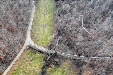 Tract #2 Kirkland Rd, Indian Mound, TN 37079 - photo 4