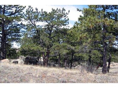 280 Timber Trail, Livermore, CO 80536 - photo 7