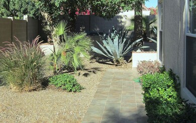 SIDE YARD - WEST