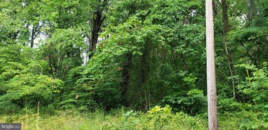 0 Pickford Ct unit VAWR2000688, Shenandoah, VA 22630 - photo 2