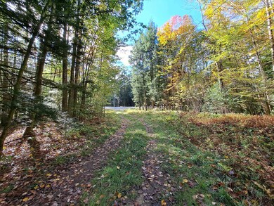 Lot 4 Nh Route 49, Thornton, NH 03285 - photo 2