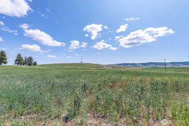 0 Unassigned unit NWM2411373, Waterville, WA 98858 - photo 6