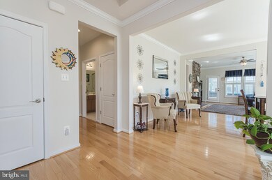 201 Osprey Dr, Front Royal, VA 22630 - photo 7