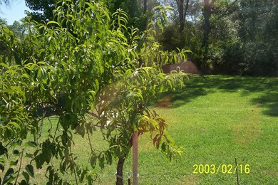lawn
