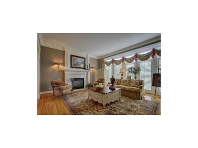 Living room has plantation shutters, fireplace, ha