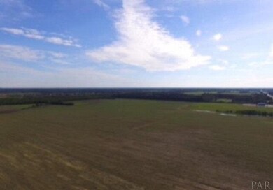 0 Foley Expy unit 562796, Foley, AL 36535 - photo 3