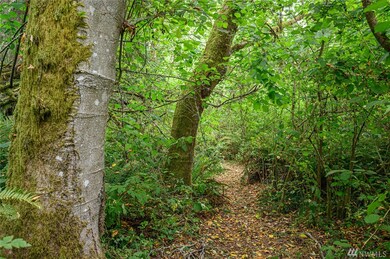 15816 Vashon Hwy SW, Vashon, WA 98070 - photo 7
