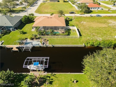Aerial perspective of your back yard