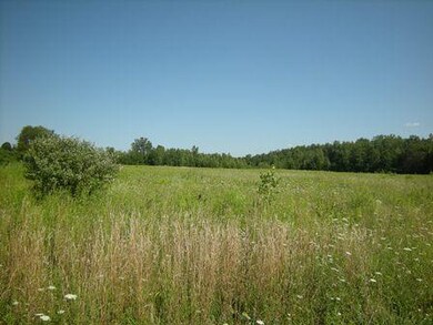 Land/Lot