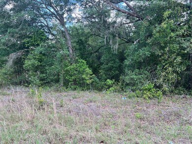 00 SW 108th St, Dunnellon, FL 34432 - photo 6