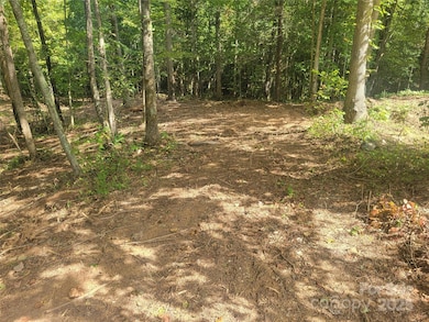 00 Bradford Park unit 10, Clyde, NC 28721 - photo 5