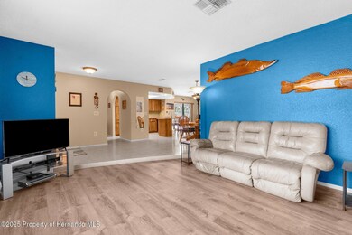 Sunken living room