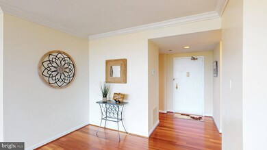 3709 S George Mason Dr unit 1615 EAST, Baileys Crossroads, VA 22041 - photo 5