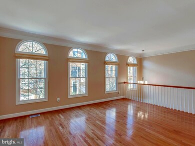 4635 Knight Place, Alexandria, VA 22311 - photo 5