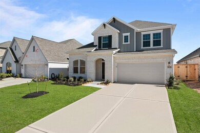 1238 Wandering Brook St, Magnolia, TX 77354 - photo 4