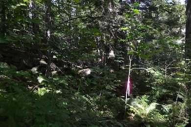 89 Montgomery Rd, Salisbury, NH 03268 - photo 7