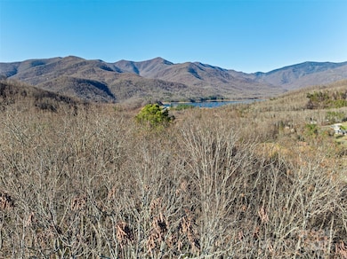 9999 N Fork Rd unit 5 & 6, Black Mountain, NC 28711 - photo 2